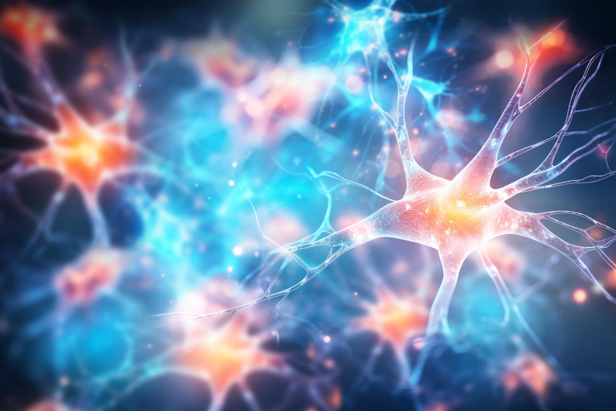 Magíster en Neurociencias Social y Cognitiva 