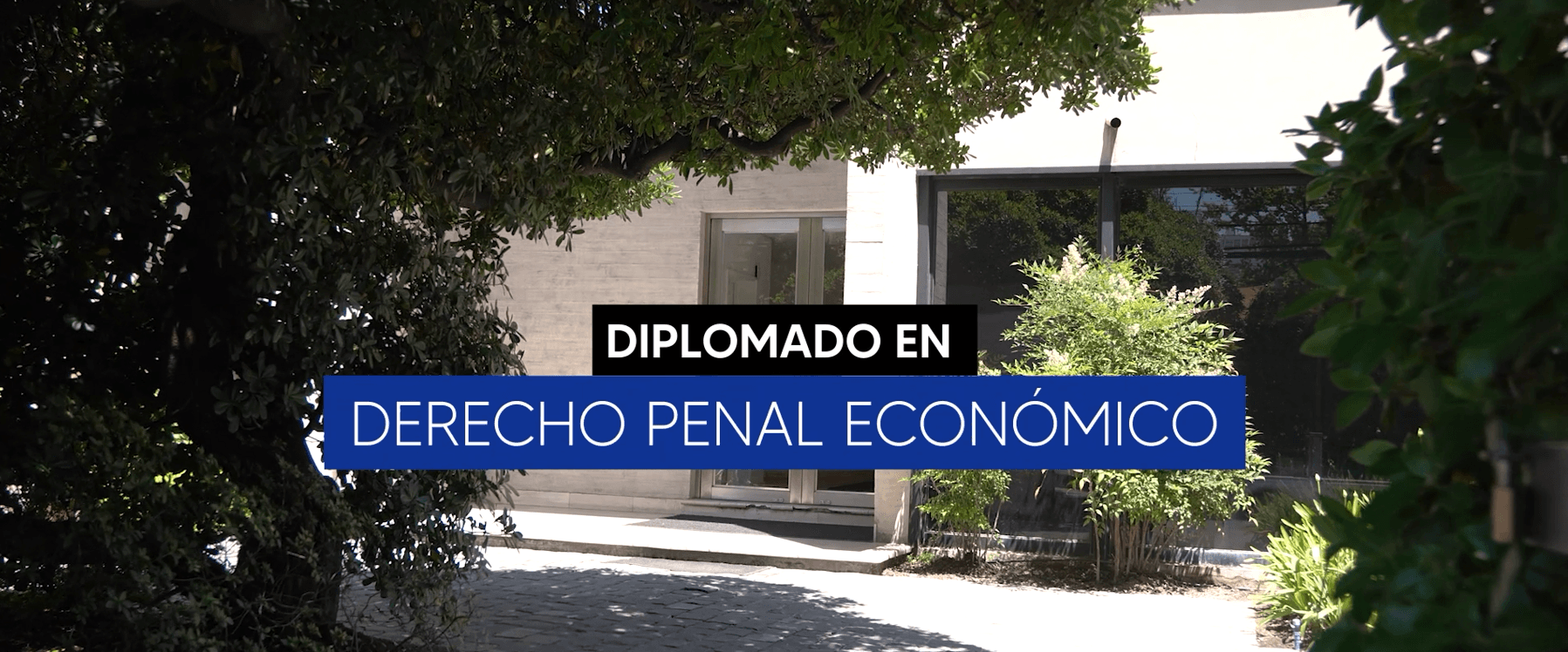 Conoce el Diplomado en Derecho Penal Económico Diplomado en Derecho Penal Económico