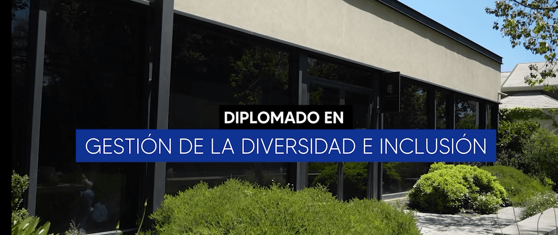 Conoce el Diplomado en Gestión de la diversidad e inclusión 2026 Diplomado en Gestión de la diversidad e inclusión 2026